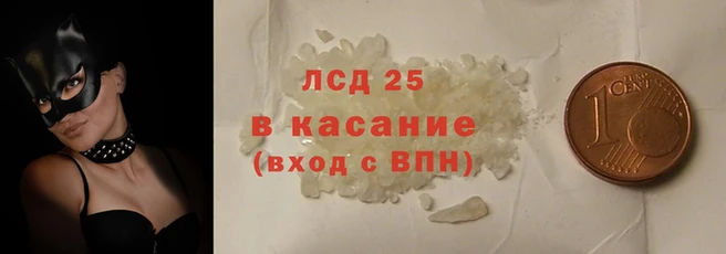 спайс Аркадак