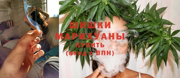 PSILOCYBIN Баксан