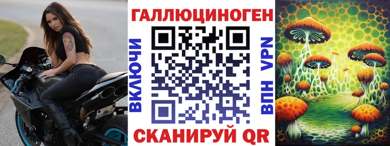 Псилоцибиновые грибы мухоморы  где продают   MEGA зеркало  Отрадная 
